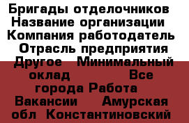 Бригады отделочников › Название организации ­ Компания-работодатель › Отрасль предприятия ­ Другое › Минимальный оклад ­ 15 000 - Все города Работа » Вакансии   . Амурская обл.,Константиновский р-н